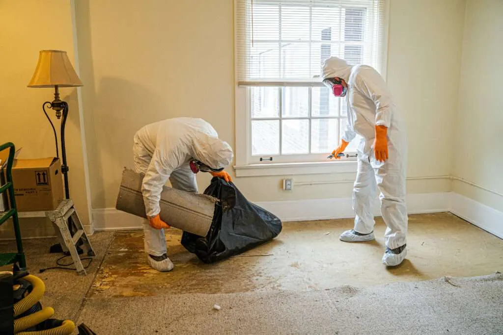 AdobeStock_513057324-1024x683 Damage Cleaning
